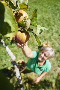Wohlbefinden und Vitalität sind wesentliche Voraussetzungen für die persönliche Lebensqualität bis ins hohe Alter. Foto: djd/LaVita
